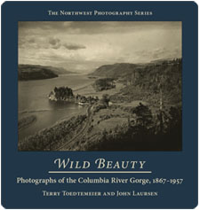 Wild Beauty Book Cover