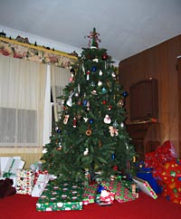 The tree o' gifts....