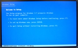Windows 3.1 setup window